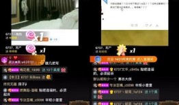 小六最新爆料视频大全集,揭秘幕后真相，带你走进事件核心